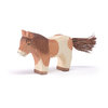 Shetland Pony stehen